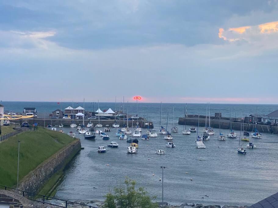 Aberaeron Island House - Panoramic Harbour Views 빌라 외부 사진